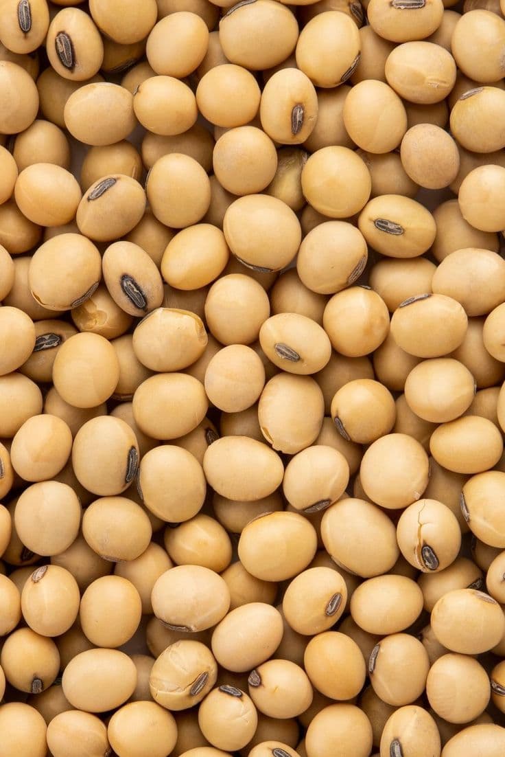 NatureFresh Soybeans