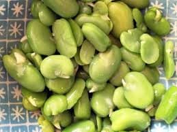 Broad Beans