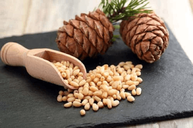 PINE NUT